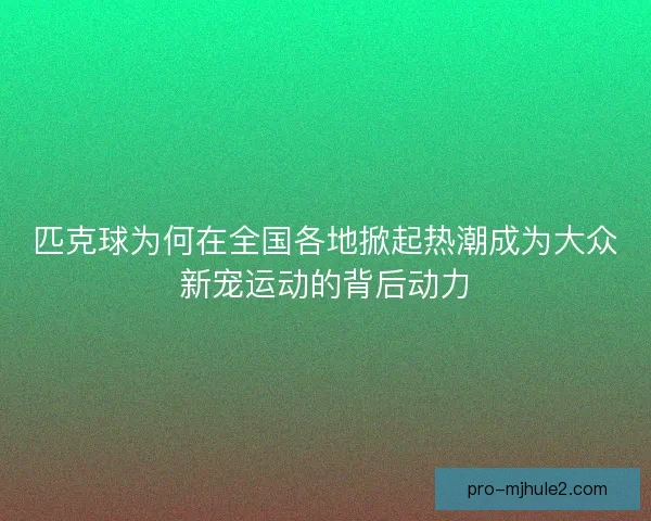 匹克球为何在全国各地掀起热潮成为大众新宠运动的背后动力
